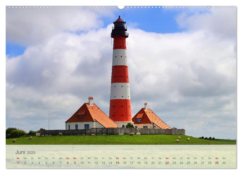 Salzwiesen, Schafe und Watt - Westerhever, ein Naturparadies an der Nordsee (CALVENDO Premium Wandkalender 2025)