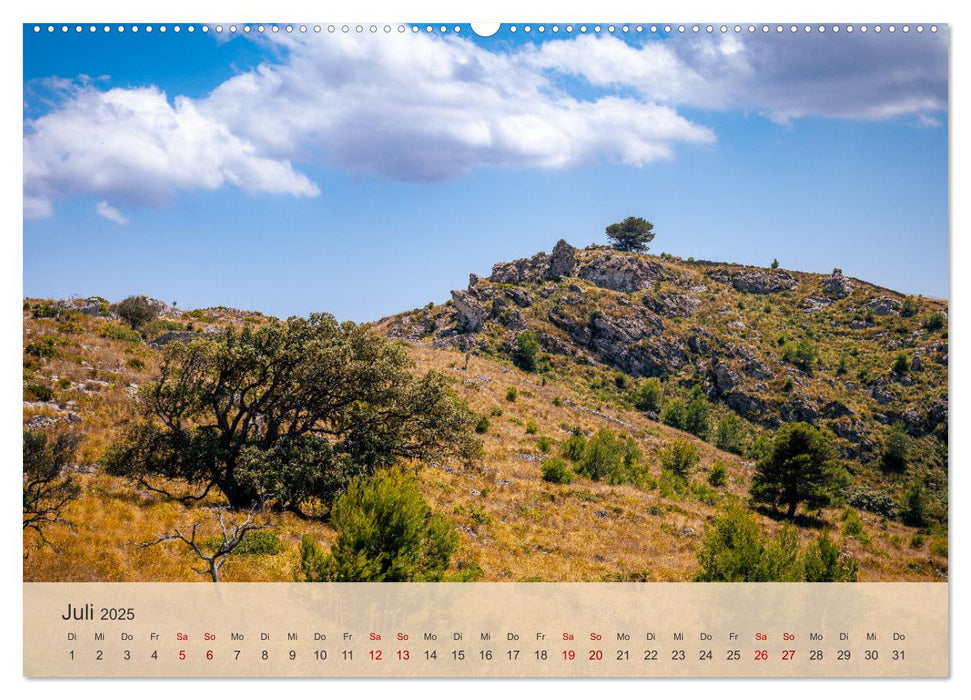 Mallorca - Perle des Mittelmeers (CALVENDO Premium Wandkalender 2025)