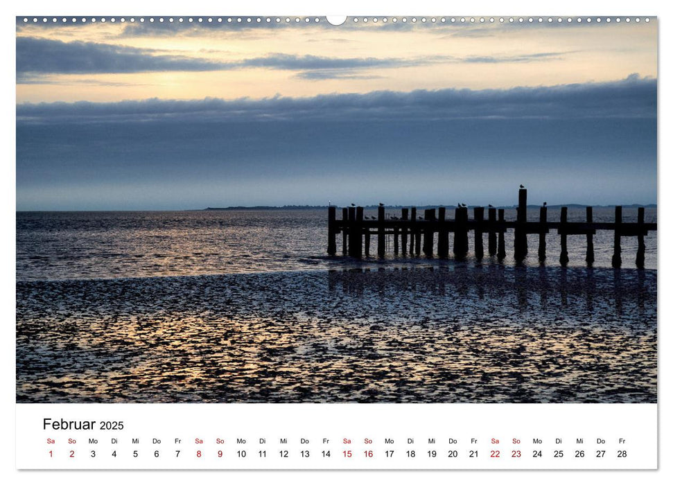 Föhr - Friesische Karibik (CALVENDO Wandkalender 2025)