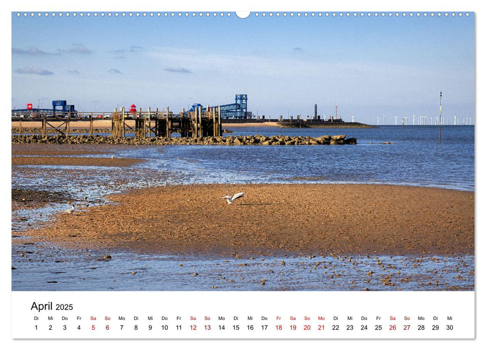 Föhr - Friesische Karibik (CALVENDO Wandkalender 2025)