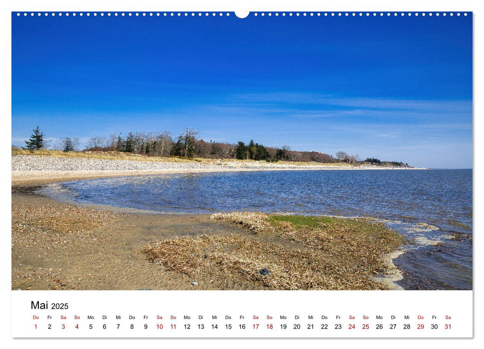 Föhr - Friesische Karibik (CALVENDO Wandkalender 2025)