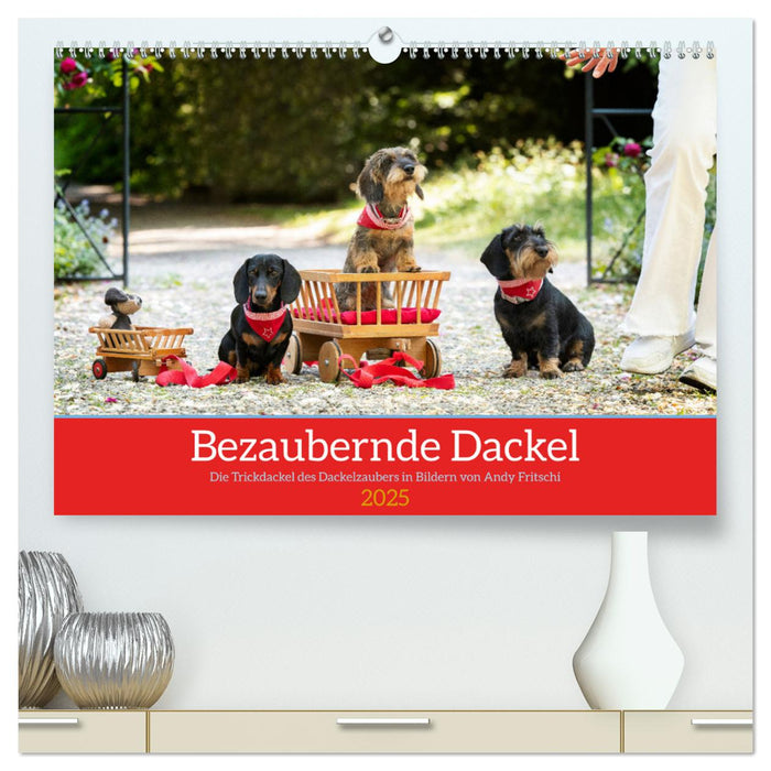 Bezaubernde Dackel (CALVENDO Premium Wandkalender 2025)