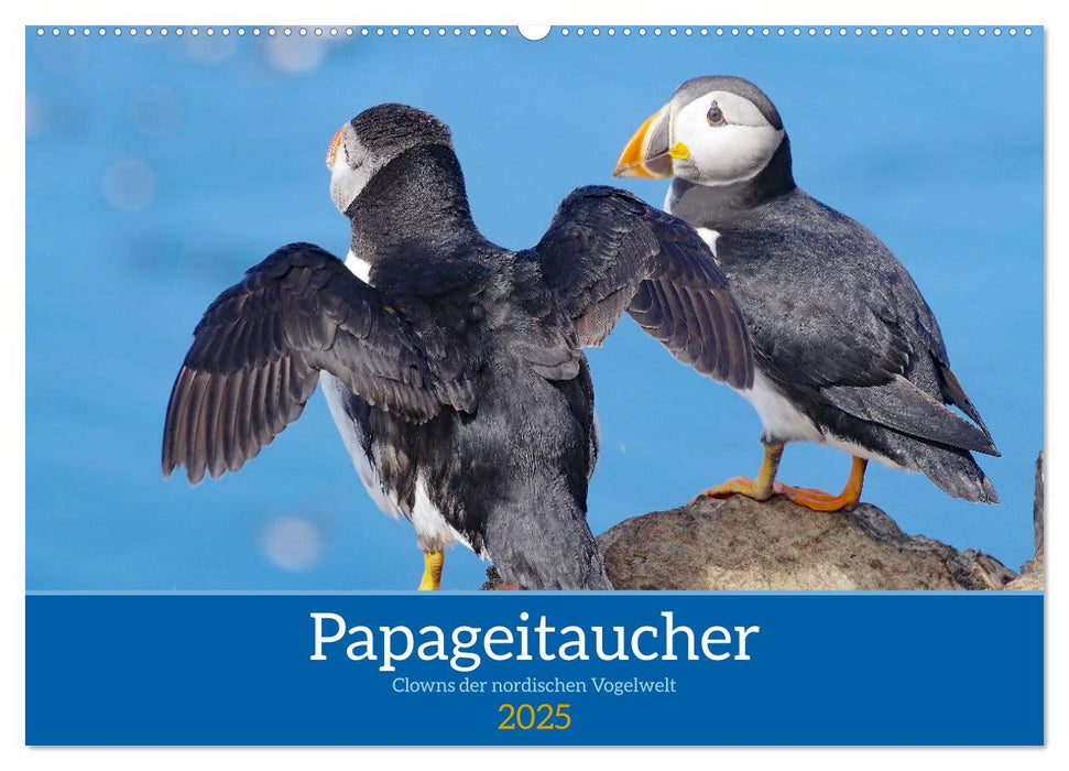 Papageitaucher - Clowns der nordischen Vogelwelt (CALVENDO Wandkalender 2025)