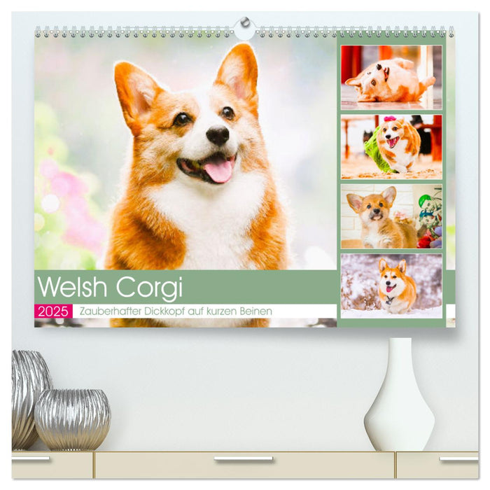 Welsh Corgi. Zauberhafter Dickkopf auf kurzen Beinen (CALVENDO Premium Wandkalender 2025)