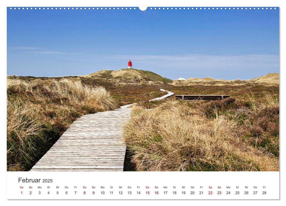 Amrum - Perle der Nordsee (CALVENDO Wandkalender 2025)