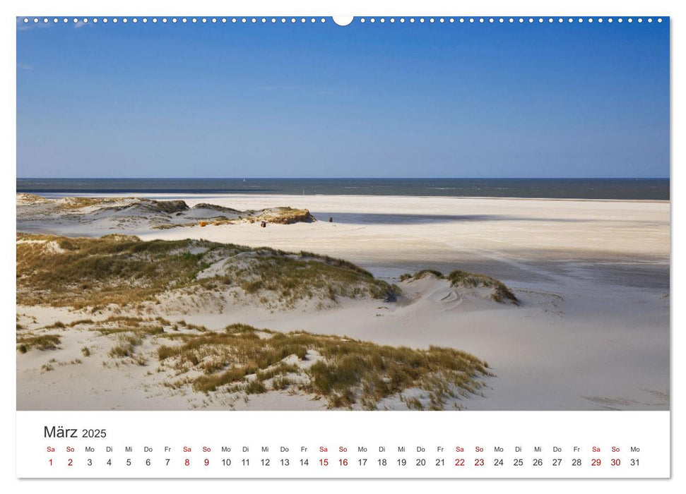 Amrum - Perle der Nordsee (CALVENDO Wandkalender 2025)