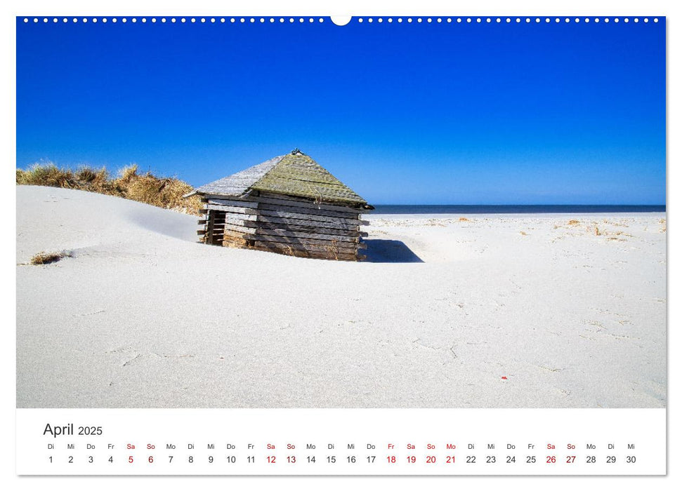 Amrum - Perle der Nordsee (CALVENDO Wandkalender 2025)