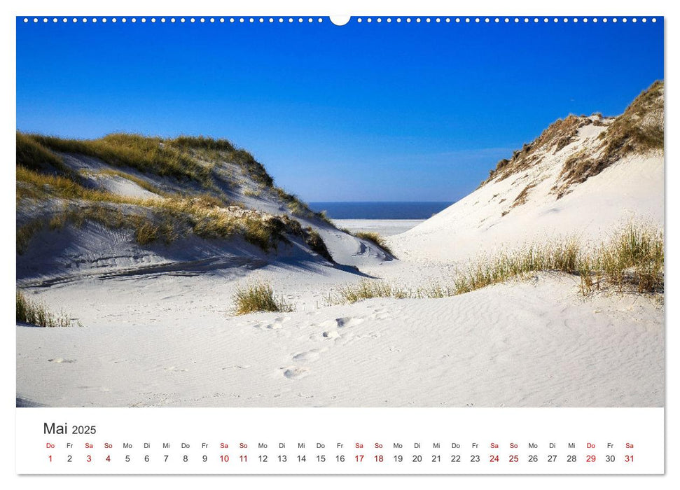 Amrum - Perle der Nordsee (CALVENDO Wandkalender 2025)