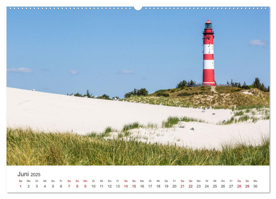 Amrum - Perle der Nordsee (CALVENDO Wandkalender 2025)