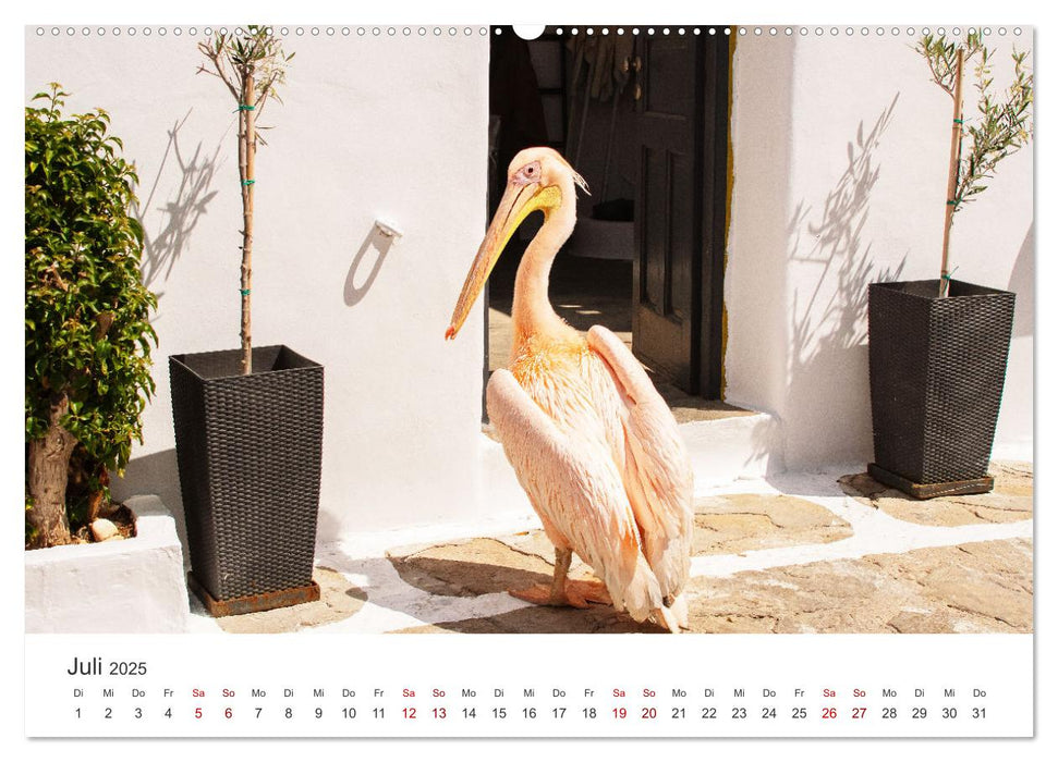 Stadt Mykonos - Impressionen (CALVENDO Premium Wandkalender 2025)