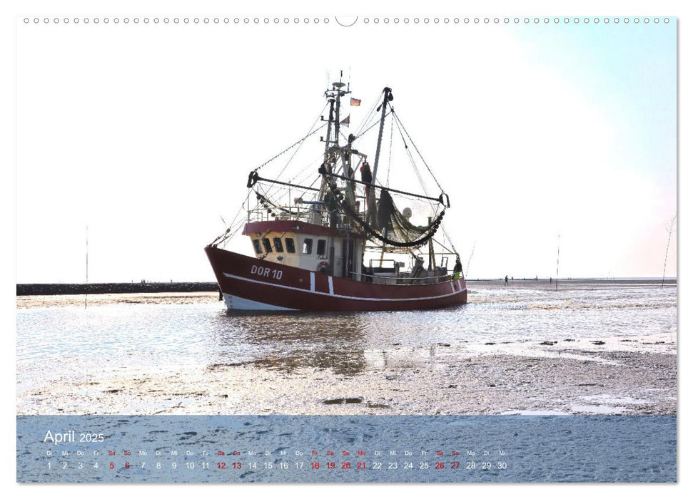 Nordsee-Krabbenkutter (CALVENDO Premium Wandkalender 2025)