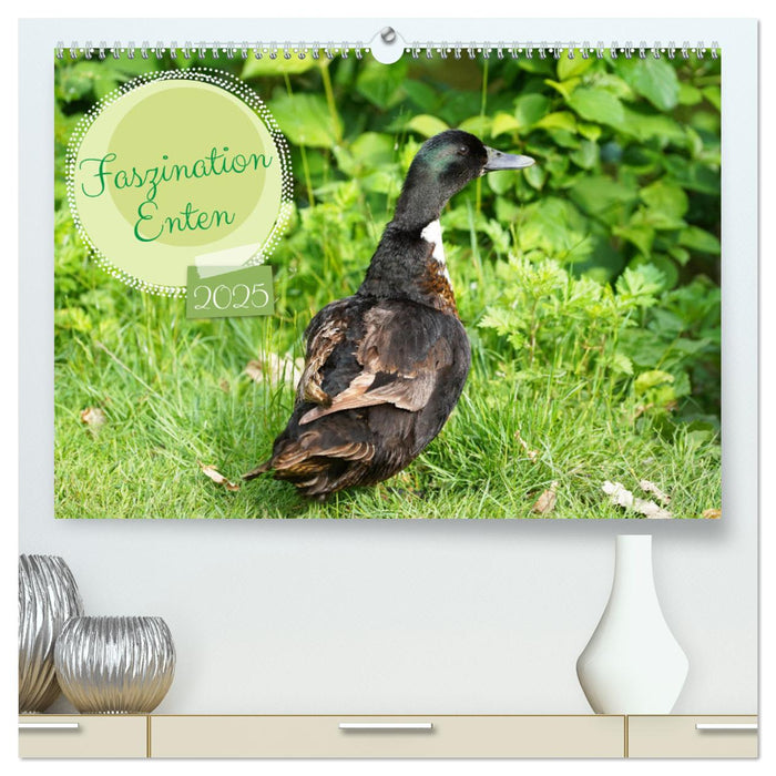 Faszination Enten (CALVENDO Premium Wandkalender 2025)