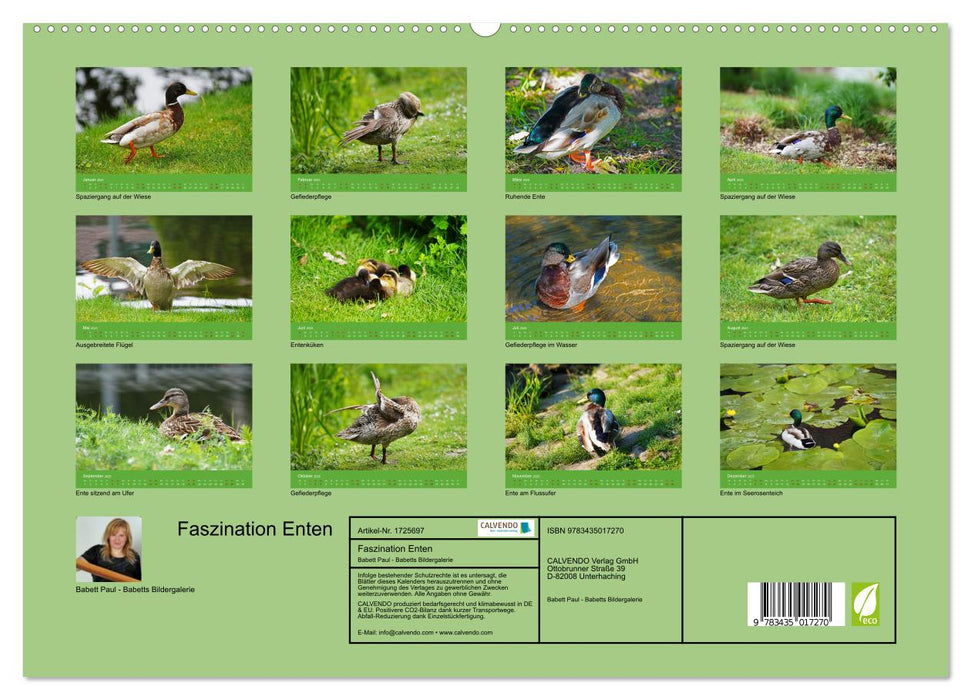 Faszination Enten (CALVENDO Premium Wandkalender 2025)