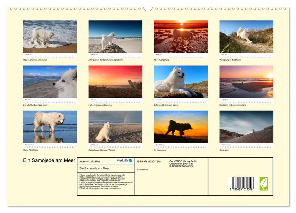 Ein Samojede am Meer (CALVENDO Premium Wandkalender 2025)