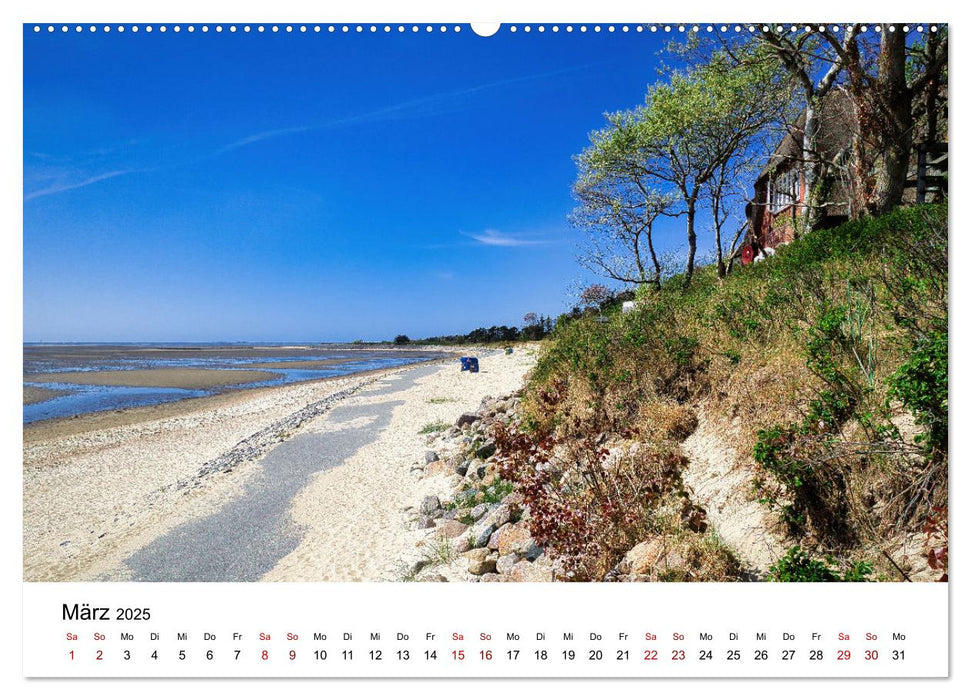 Föhr - Friesische Karibik (CALVENDO Premium Wandkalender 2025)