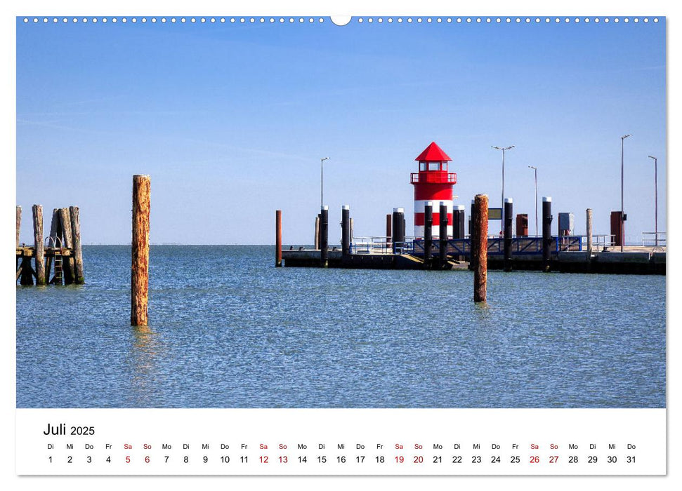 Föhr - Friesische Karibik (CALVENDO Premium Wandkalender 2025)