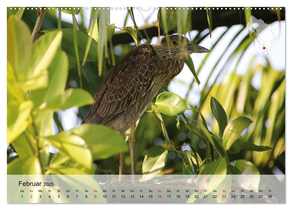 Costa Rica - Panama - Nicaragua (CALVENDO Wandkalender 2025)