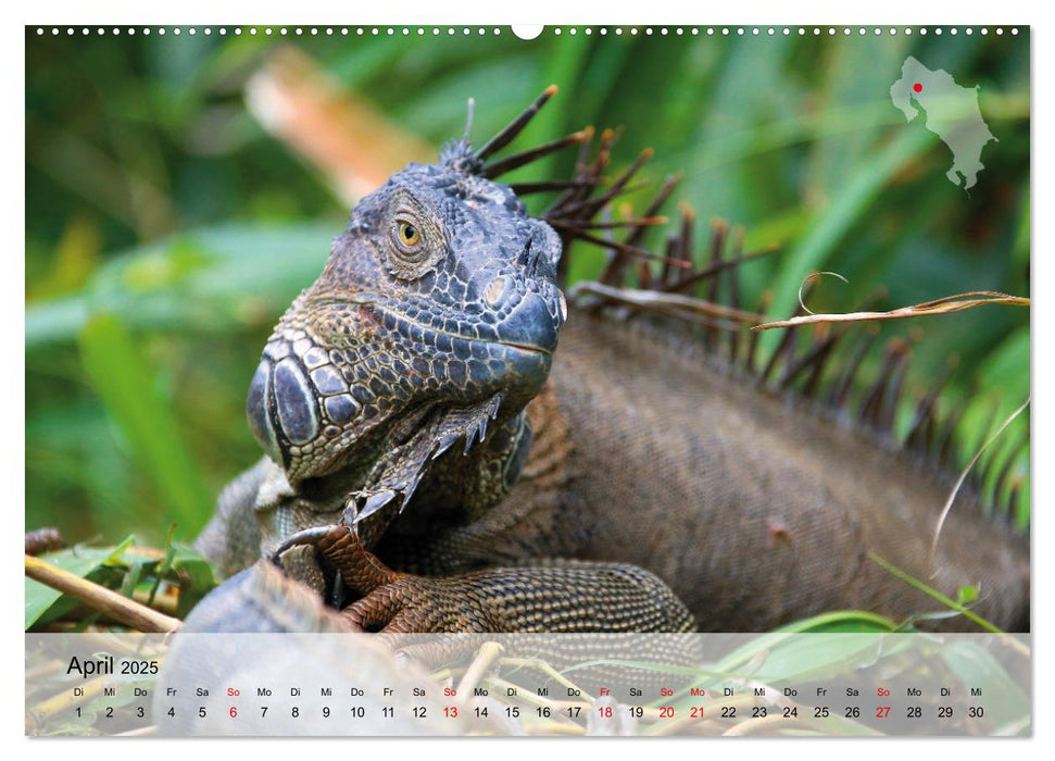 Costa Rica - Panama - Nicaragua (CALVENDO Wandkalender 2025)