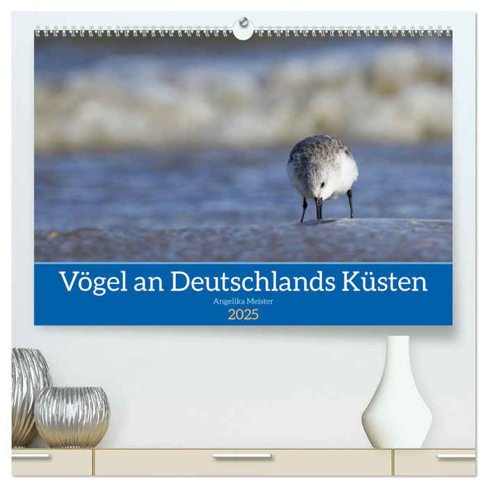 Vögel an Deutschlands Küsten (CALVENDO Premium Wandkalender 2025)