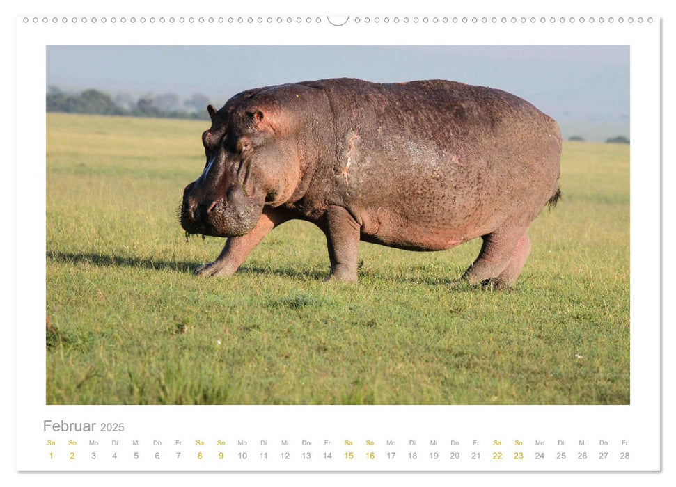 Ein Lächeln für die Tierwelt (CALVENDO Premium Wandkalender 2025)