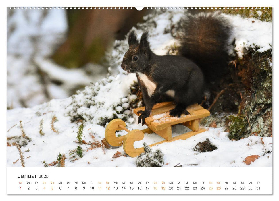 Geheimes Waldleben (CALVENDO Premium Wandkalender 2025)