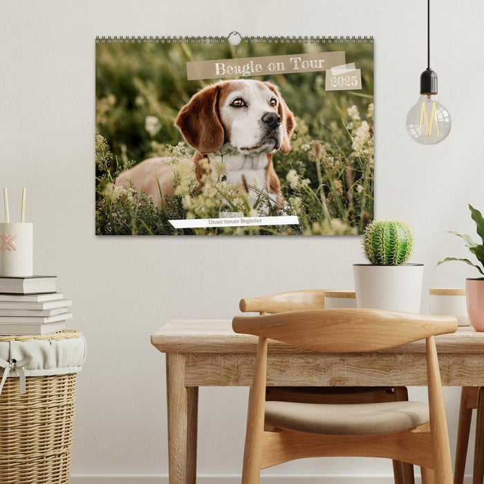 Beagle - Unser treuer Begleiter (CALVENDO Wandkalender 2025)