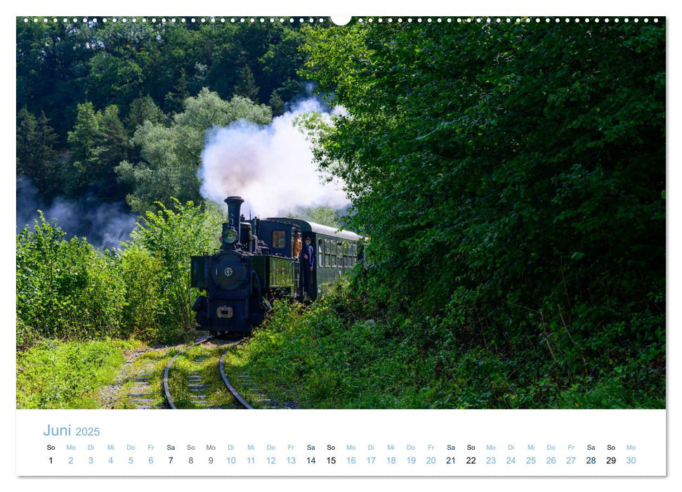 Steyrtalbahn (CALVENDO Premium Wandkalender 2025)