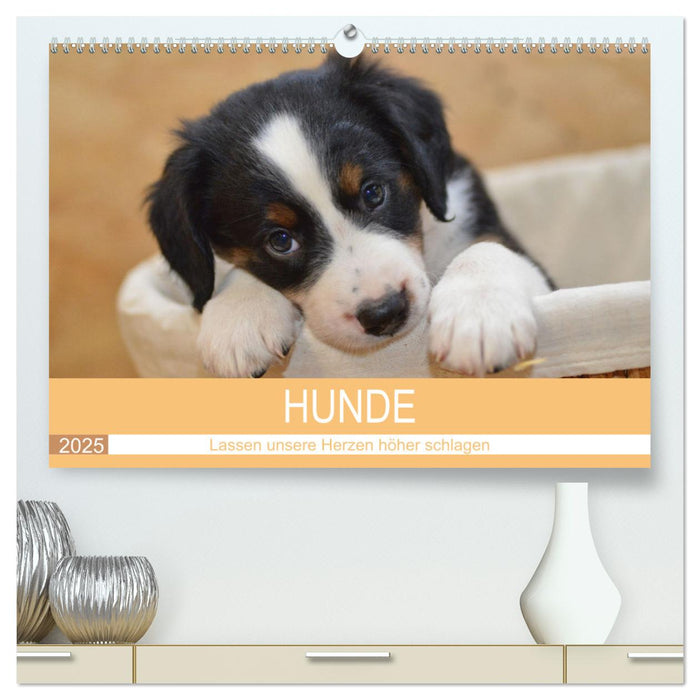 HUNDE - Lassen unsere Herzen höher schlagen (CALVENDO Premium Wandkalender 2025)