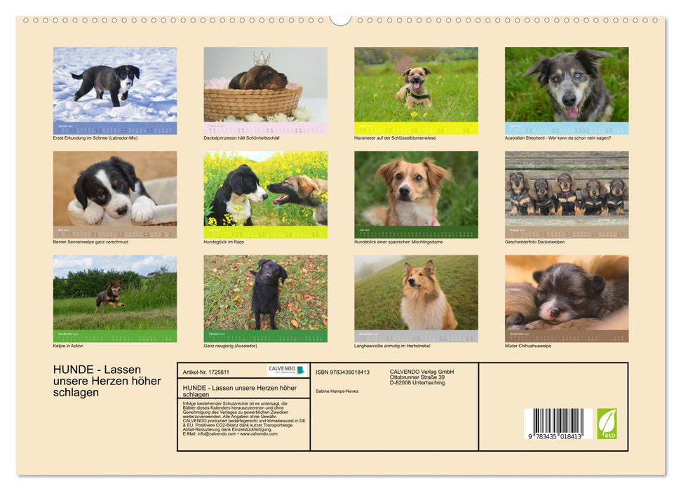 HUNDE - Lassen unsere Herzen höher schlagen (CALVENDO Premium Wandkalender 2025)