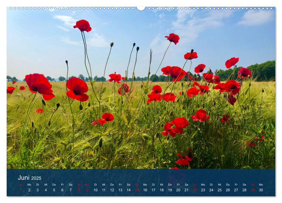 Rund um Hannover: Calenberger Land (CALVENDO Premium Wandkalender 2025)