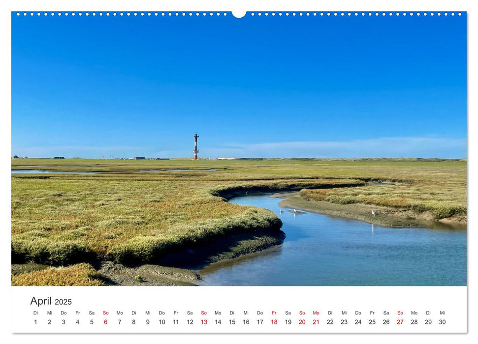 Wangerooge: Ganz nah (CALVENDO Premium Wandkalender 2025)