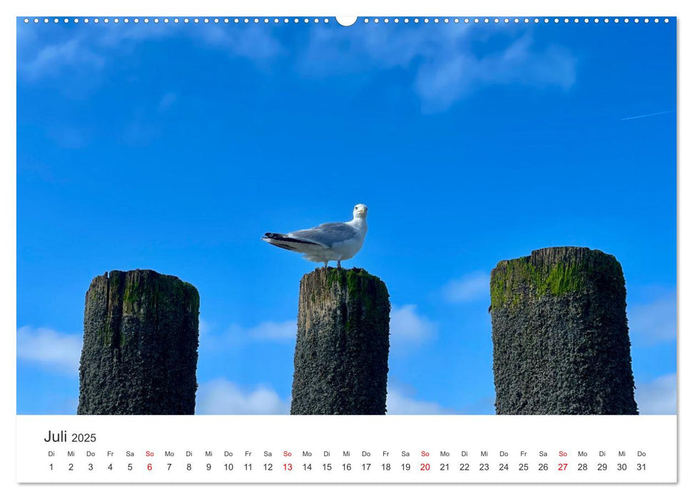 Wangerooge: Ganz nah (CALVENDO Premium Wandkalender 2025)