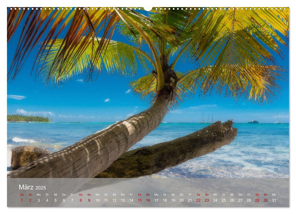 Karibik Traum Isla Saona (CALVENDO Premium Wandkalender 2025)