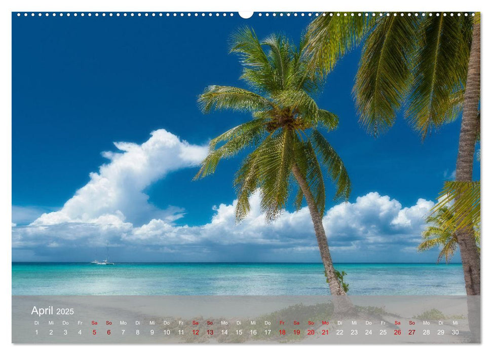 Karibik Traum Isla Saona (CALVENDO Premium Wandkalender 2025)