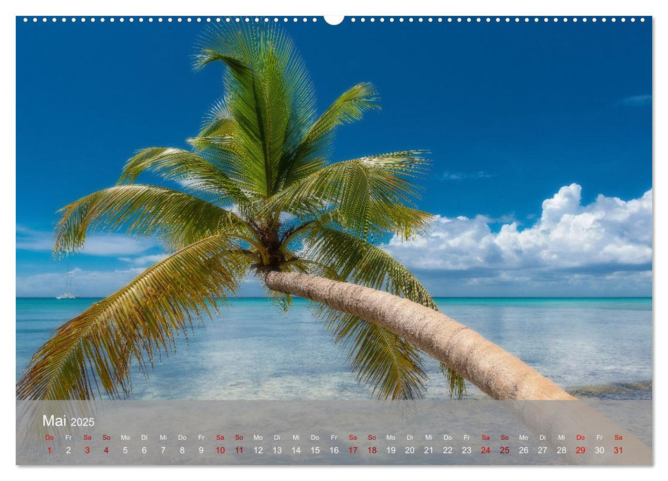 Karibik Traum Isla Saona (CALVENDO Premium Wandkalender 2025)