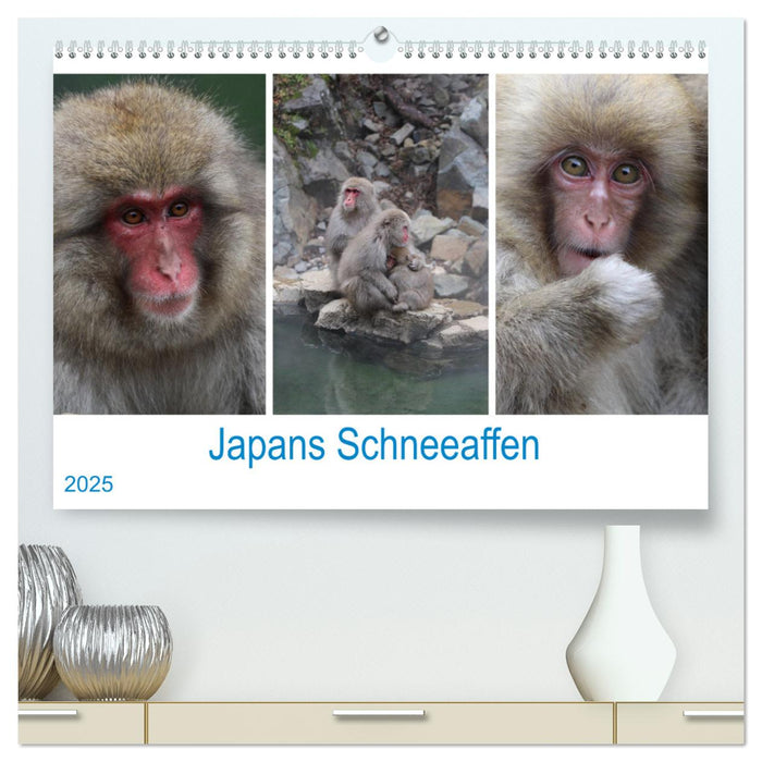 Japans Schneeaffen (CALVENDO Premium Wandkalender 2025)