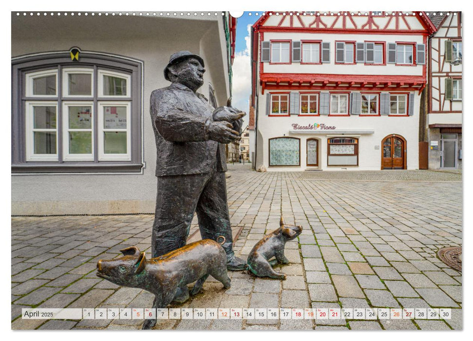 Riedlingen Impressionen (CALVENDO Premium Wandkalender 2025)