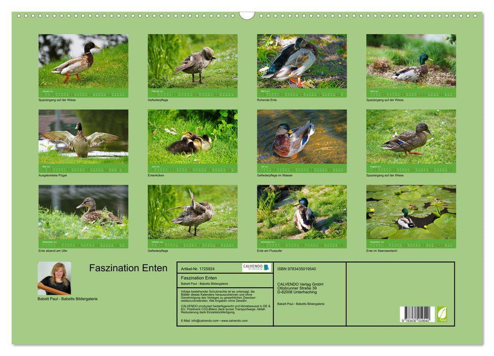 Faszination Enten (CALVENDO Wandkalender 2025)