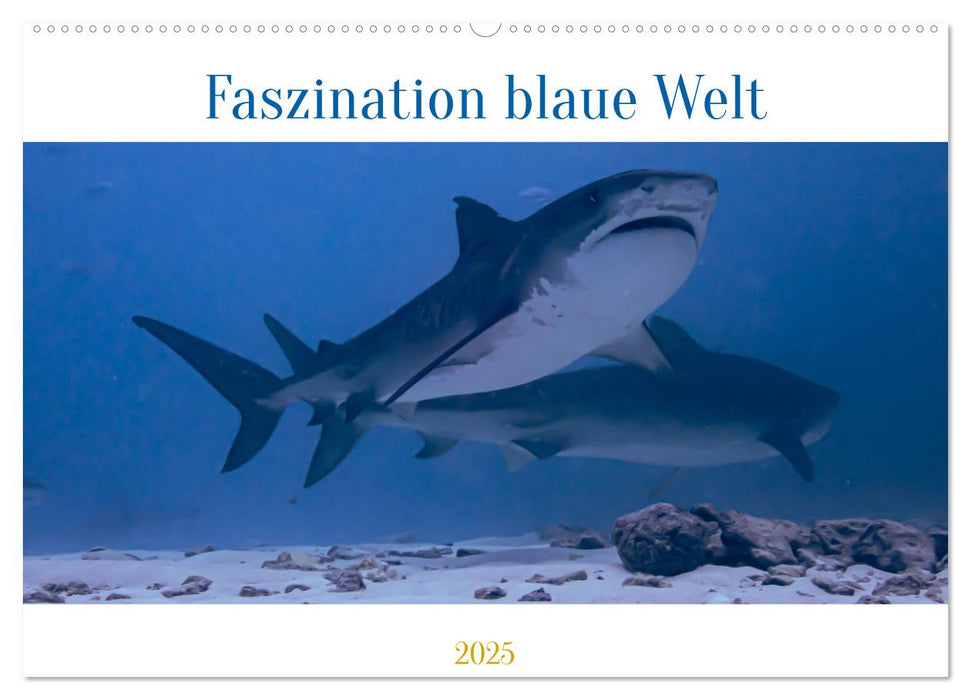 Faszination blaue Welt (CALVENDO Wandkalender 2025)