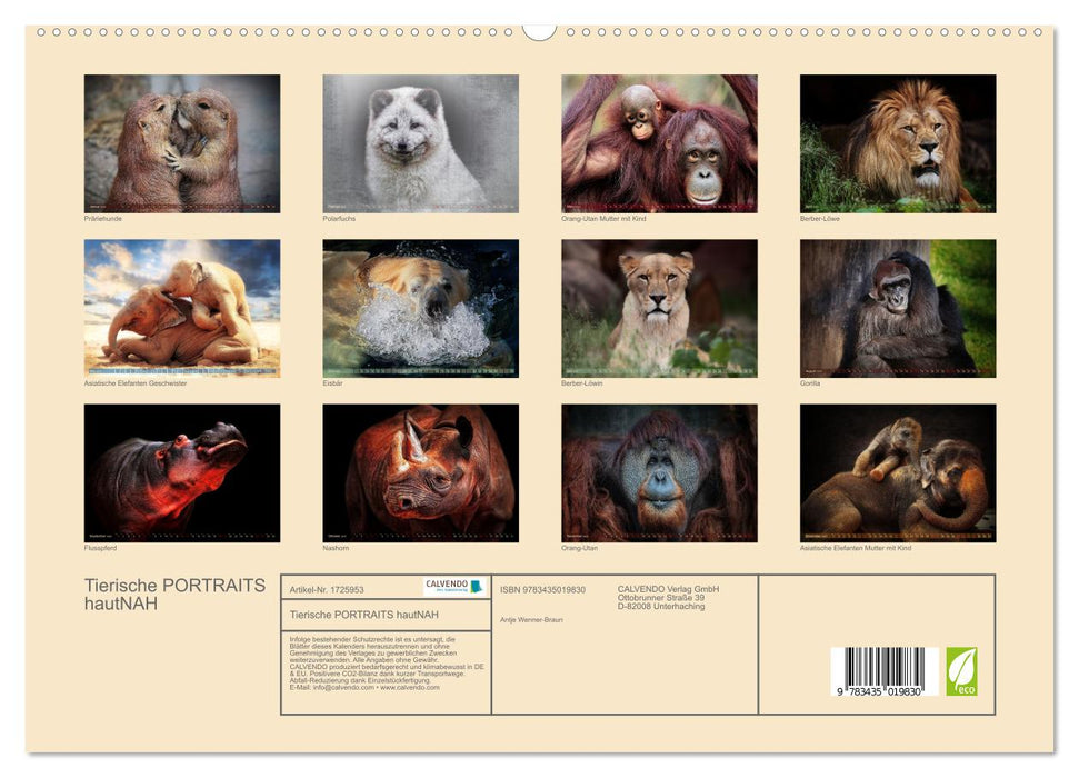 Tierische PORTRAITS hautNAH (CALVENDO Premium Wandkalender 2025)