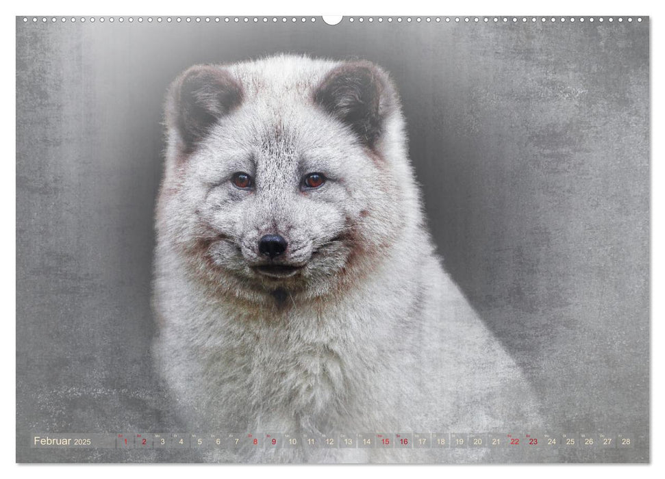 Tierische PORTRAITS hautNAH (CALVENDO Premium Wandkalender 2025)