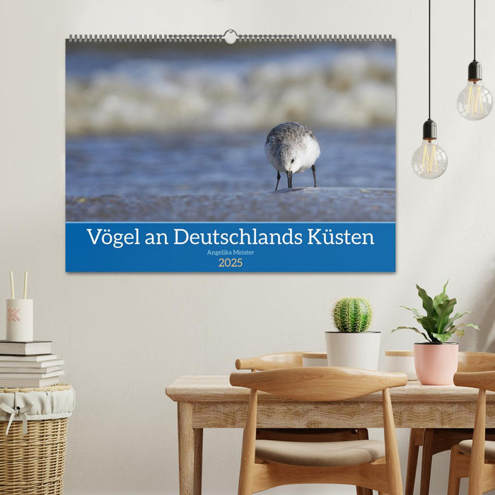 Vögel an Deutschlands Küsten (CALVENDO Wandkalender 2025)