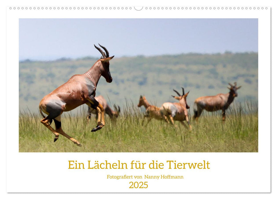 Ein Lächeln für die Tierwelt (CALVENDO Wandkalender 2025)