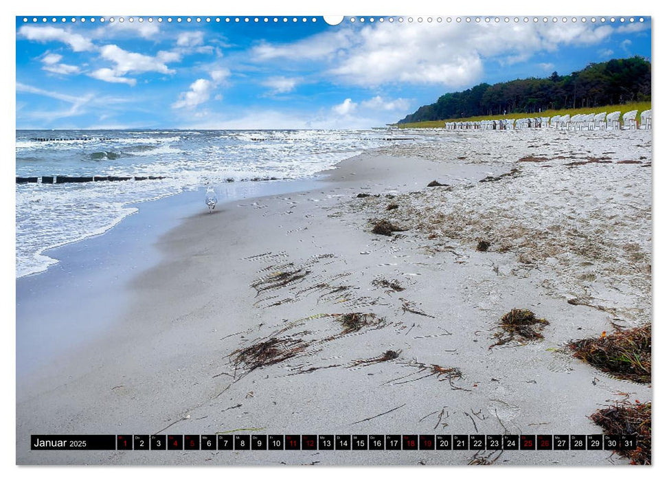 Fischland - Darß- Zingst (CALVENDO Premium Wandkalender 2025)