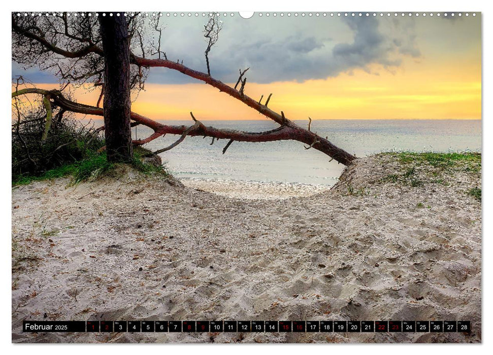 Fischland - Darß- Zingst (CALVENDO Premium Wandkalender 2025)