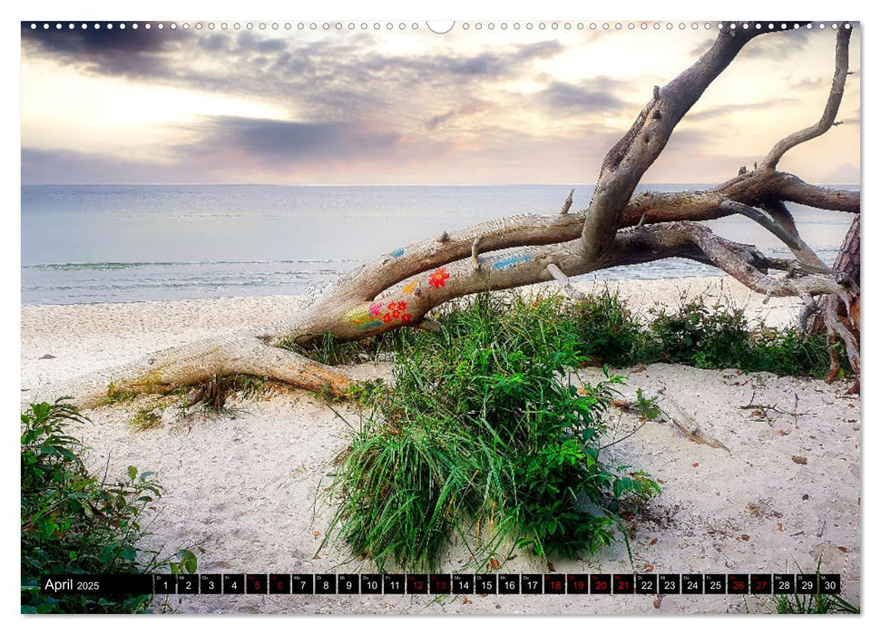 Fischland - Darß- Zingst (CALVENDO Premium Wandkalender 2025)