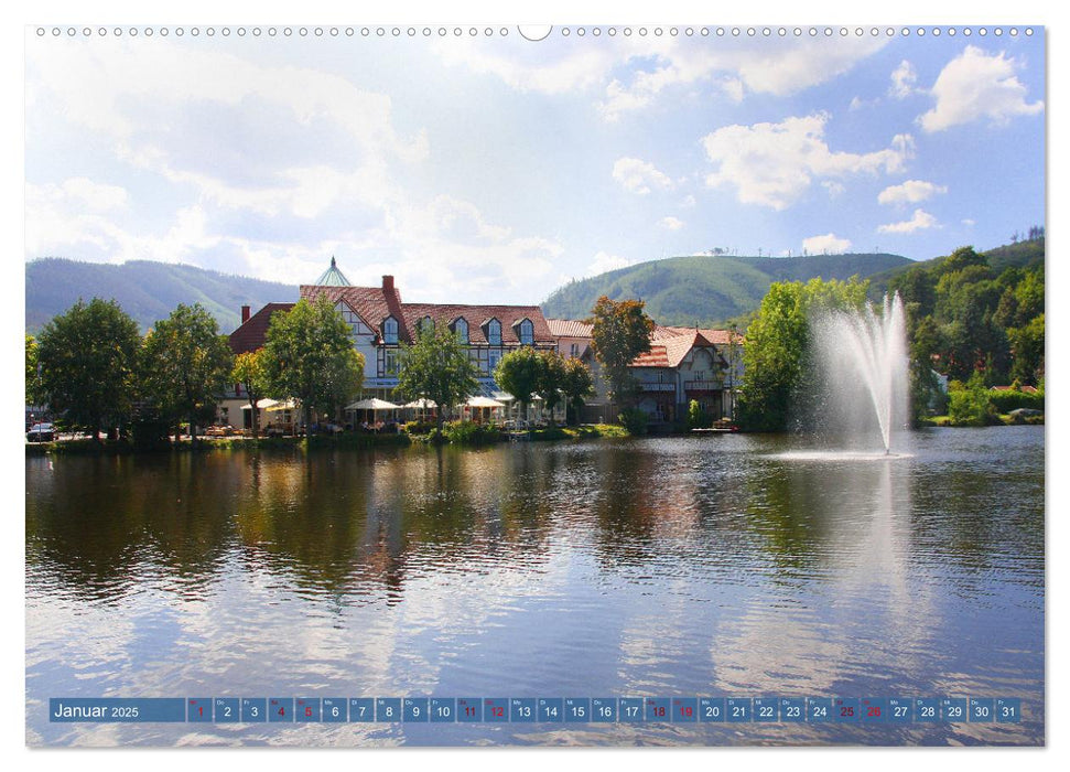 Ilsenburg mit seinem Kloster und Impressionen von Kloster Drübeck (CALVENDO Premium Wandkalender 2025)