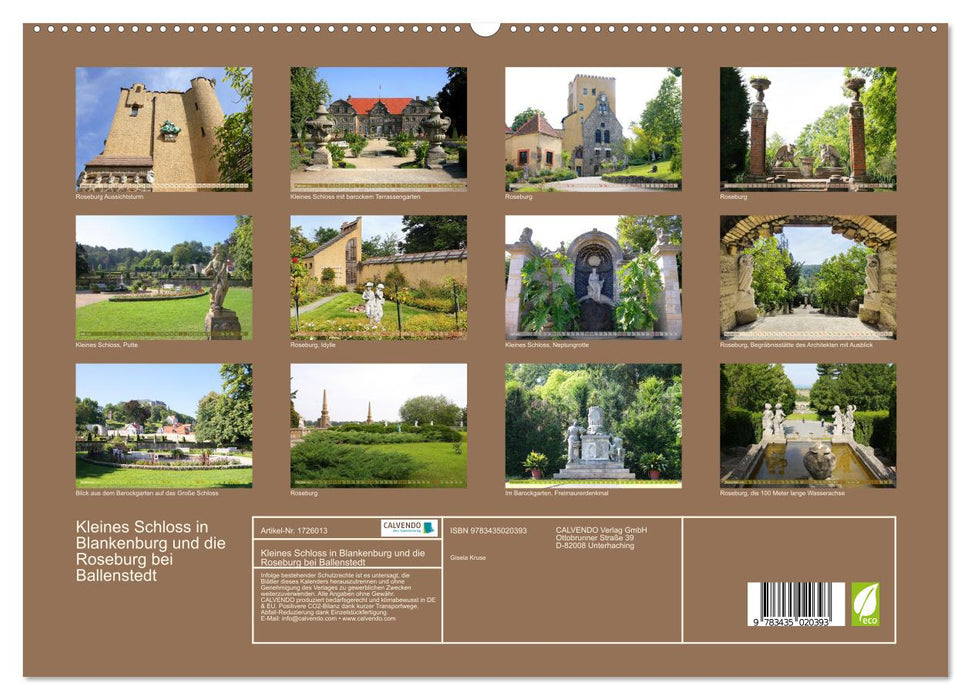 Kleines Schloss in Blankenburg und die Roseburg bei Ballenstedt (CALVENDO Premium Wandkalender 2025)