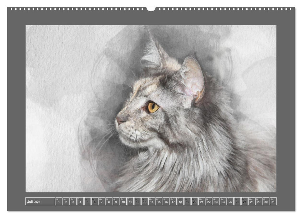 Maine Coon Aquarelle (CALVENDO Premium Wandkalender 2025)