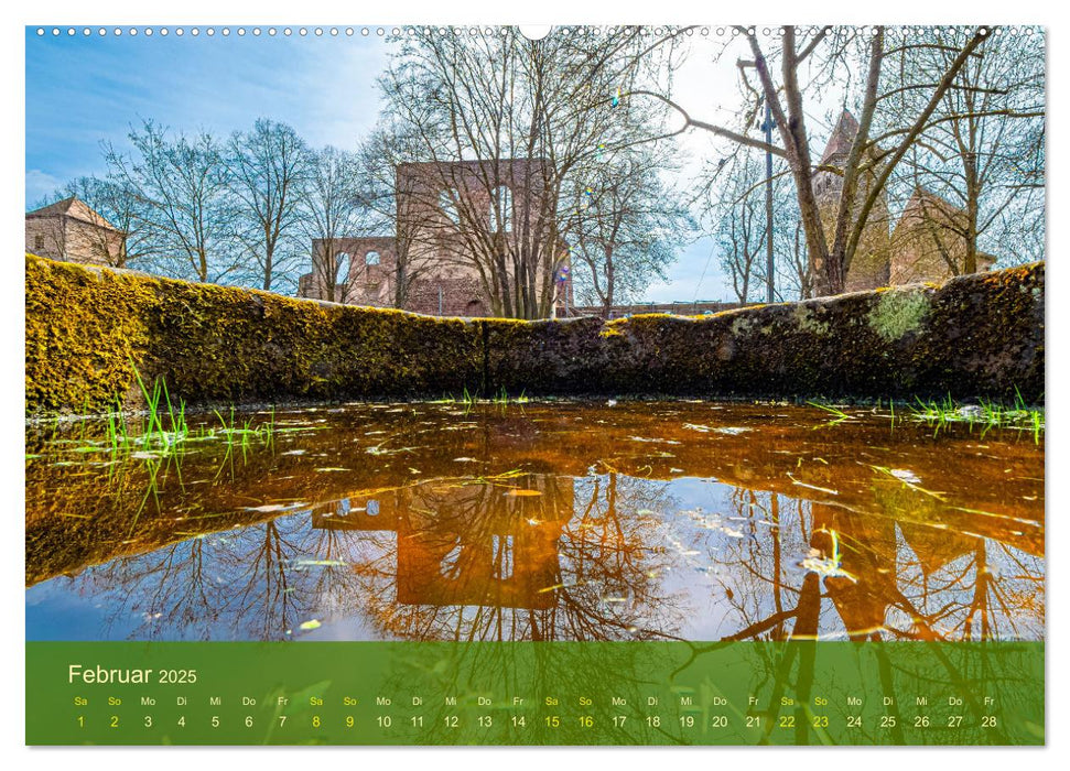 der staudengarten zu bad hersfeld (CALVENDO Premium Wandkalender 2025)